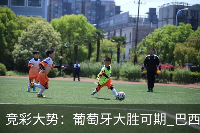 竞彩大势：葡萄牙大胜可期 巴西信心不足